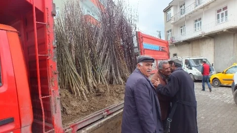 Malazgirt'te Fidan Satışı Başladı