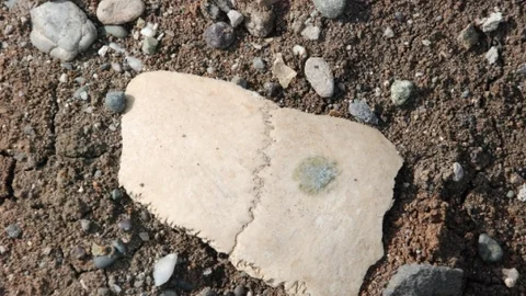 Diyarbakır'da İnsan Kemikleri Gündemde