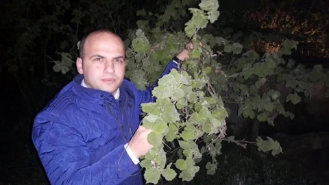 Ordu'da Orta Şiddette Don Olayı Bekleniyor