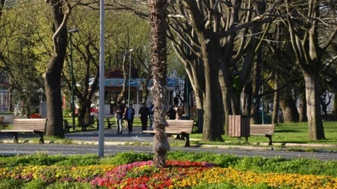 Bursa'da Bahar Çiçeklerle Geldi