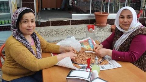 Yenipazar'da Fıstık İşi Fırsatı