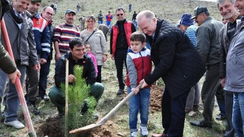 Ürgüp'te 8 Bin Fidan Dikildi