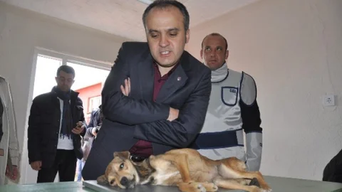 İnegöl'de Yeni Hayvan Barınağı Projesi