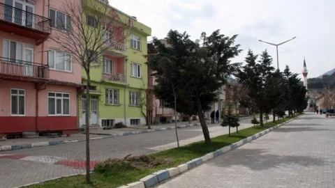 Afyonkarahisar'da Çam Ağaçları Tartışması