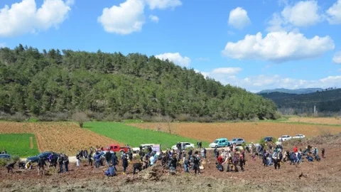 Bilecik'te Fidan Dikimi Etkinliği