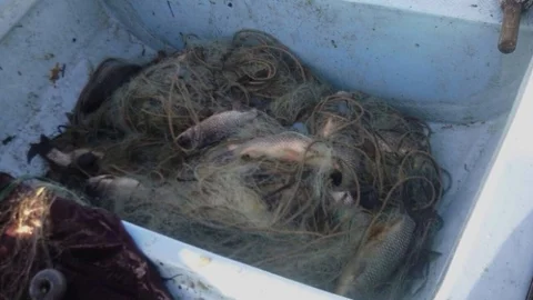 Bursa'da Kaçak Avcılara Operasyon