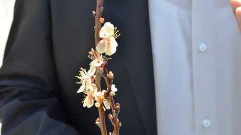 Malatya'da Don Olayı Etkili Oldu