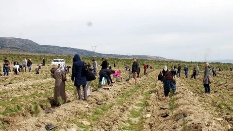 TÜMSİAD Hatıra Ormanı Açıldı