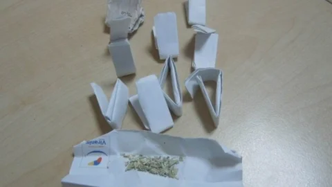 Samsun'da Bonzai Ticareti Tutuklaması