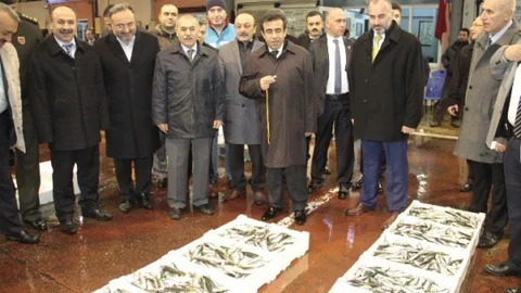 Kocaeli Ereğli'de Balık Mezatı Ziyareti