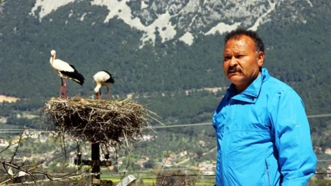 Ula'da Leyleklerin Hayatı Kurtulacak