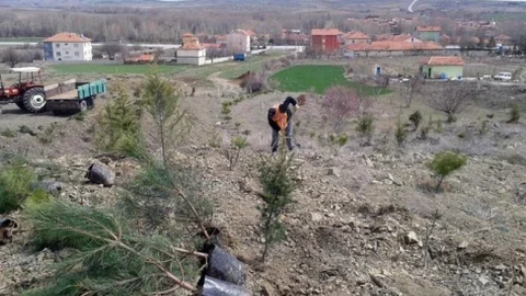 TEMA Vakfı Çiğdemli'de Fidan Dikti