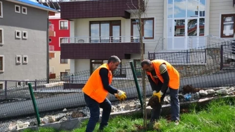 Tunceli'de Yeşil Alanlar Artıyor