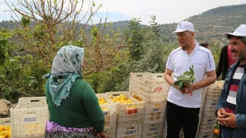Mersin'de Limon Üreticileriyle Toplantı
