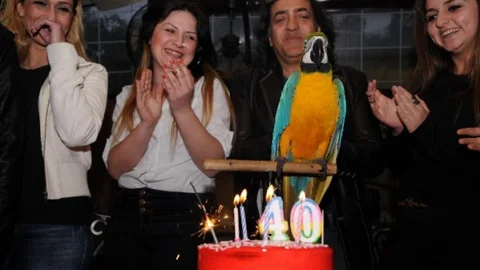 Turgut Özal'ın Papağanı 40 Yaşında