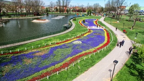 Sakarya'da Çiçek Ekimi Devam Ediyor