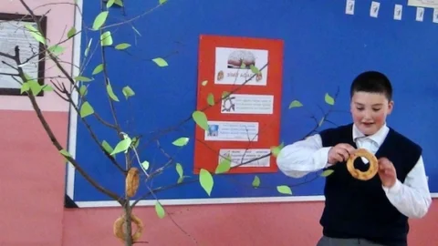 Çaysimav Köyünde Ağaçta Simit Uygulaması