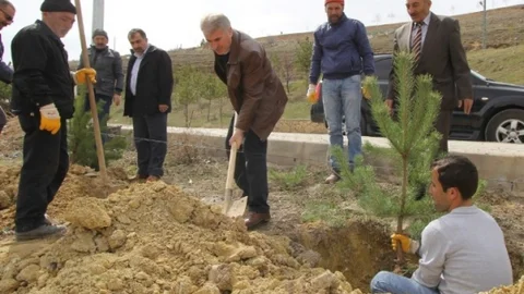 Bayburt'ta Ağaçlandırma Çalışmaları Devam Ediyor