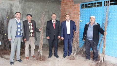 Yıldızeli'nde Meyve Fidanı Dağıtımı Yapıldı