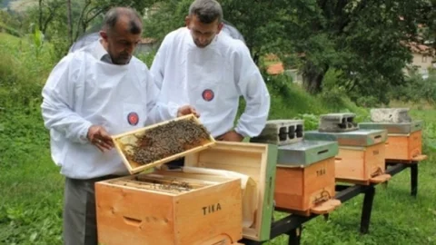 TİKA'nın Bosna Hersek'teki Tarım Projeleri Başarıyla İlerliyor