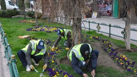 Eskişehir Adalar Mevkii'nde Çiçek Ekimi Yapılıyor