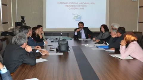 Kartepe'de Sokak Hayvanları İçin Çözüm Yolları