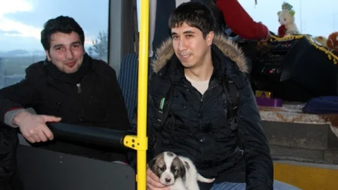 Ardahan'da Terk Edilen Yavru Köpek Kurtarıldı