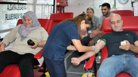Yalova'da Kan Bağışı Artışı