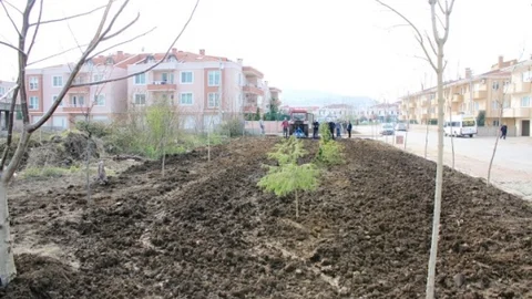 Yeşil Serdivan Projesi Devam Ediyor