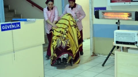 Pitbull ile Korkutma ve Saldırı Olayı