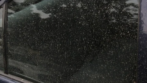 Adana'da Çamur Yağışı Şaşırttı