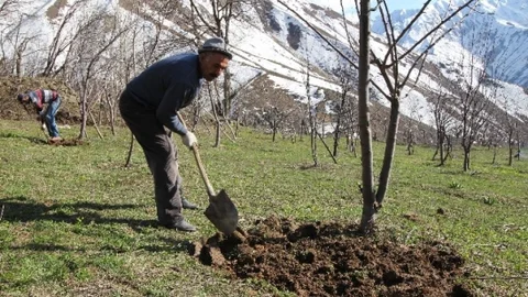 Hakkari'de Boşaltılan Köyler Yeniden Canlanıyor
