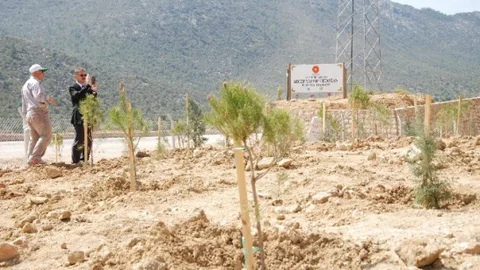 Cumhurbaşkanı Hatıra Ormanı Silifke'de Açıldı