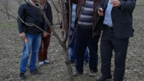 Erzurum'da Çiftçilere Budama Eğitimi
