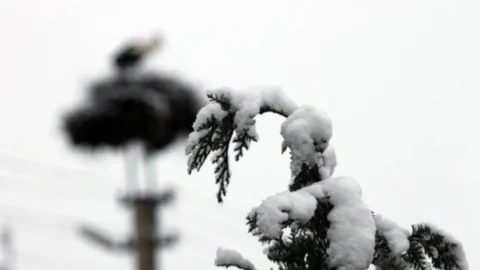 Acıpayam'da Kar Yağışı Etkili Oldu