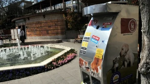 Keçiören'de Sokak Hayvanları İçin Yeni Proje