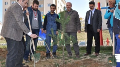 Van'da TOKİ'ler Yeşillenecek