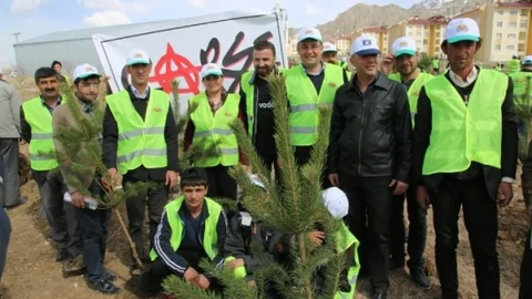 İpekyolu'nda Fidan Dikimi Başladı