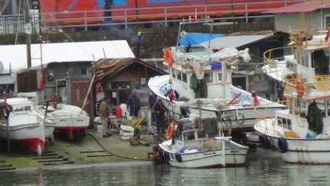 Giresun'da Av Sezonu Erken Sona Erdi