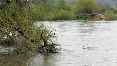 Manyas Barajı'nda Su Tahliyesi Yapıldı
