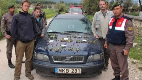 Antalya'da Biyokaçakçılık Operasyonu