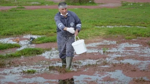 Erenler'de Larva ile Mücadele Devam Ediyor