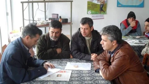 Burhaniye'de Zeytin Bahçesi Yarışması