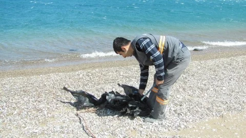 Adrasan Sahil Temizlendi