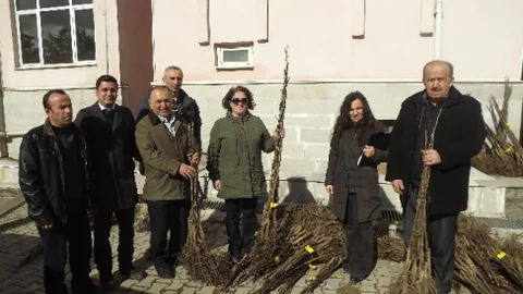 Kastamonu'da Ceviz Fidanı Dağıtımı Gerçekleşti