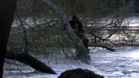 Sakarya'da Nehre Atlayan Adam Kurtarıldı