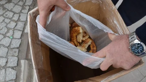 Eskişehir'de Sokak Hayvanlarına Destek