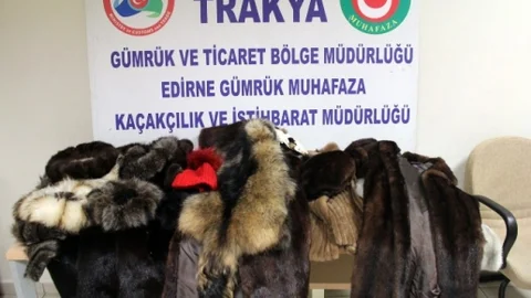 Kapıkule'de Yaban Hayvan Postu Ele Geçirildi