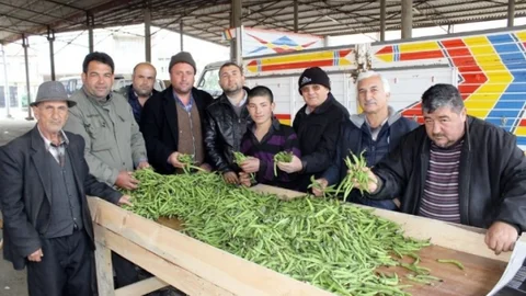 İzmir Kaymakçı'da Tarım Üzerindeki İklim Etkisi
