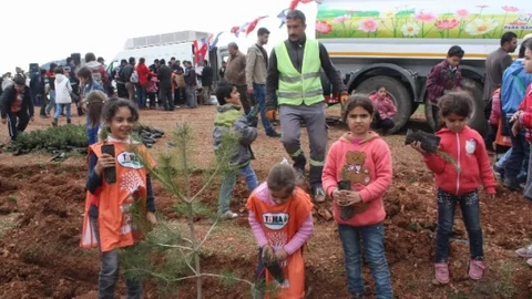 Gaziantep'te Ağaçlandırma Projesi